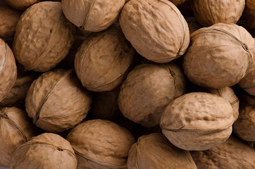 Natural walnut background pattern texture. Close up photography