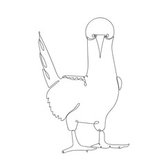 Blue-footed booby. Bird silhouette one line drawing. Hand drawn minimalism style, black lines on a white background. Outline vector illustration.