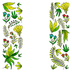 Hand vector drawn floral, leaves elements. Pattern for logo, greeting card, wedding design.