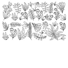 Fototapeta premium Hand vector drawn floral, leaves elements. Pattern for logo, greeting card, wedding design.