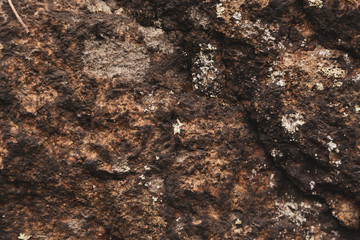 stone texture background. wallpaper for your device
