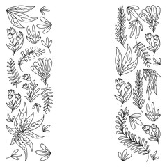 Hand vector drawn floral, leaves elements. Pattern for logo, greeting card, wedding design.