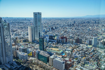 Fototapeta na wymiar 東京都庁の展望台から見える東京の街並み