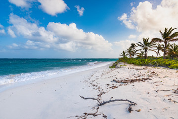 View of Shoal Bay Beach
