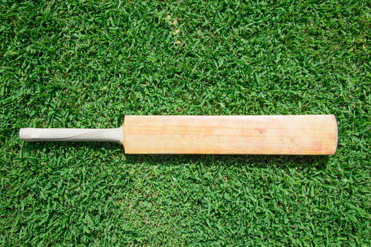 Wooden cricket bat on green grass