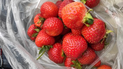 strawberries in a bowl