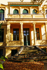Fototapeta na wymiar mit Laub bedeckte Treppe einer alten Villa in der Schlossstrasse