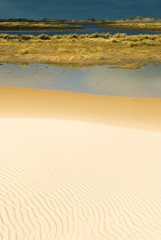 Sand ripples on beach, Råbjerg Mile, Denmark, Europe