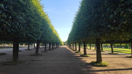 alley in the park