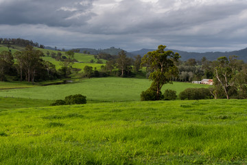 Fototapeta na wymiar Rural Countryside green after the rain.