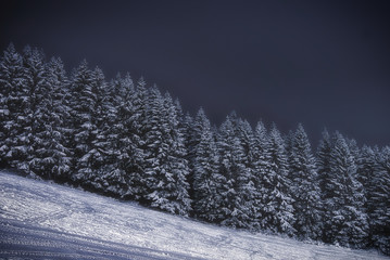 Harz im Winter