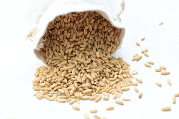 Natural oat grains, in containers for display