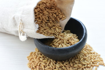 Natural oat grains, in containers for display