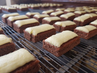 Chocolate Biscuit Manufacture