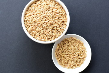 Natural oat grains, in containers for display