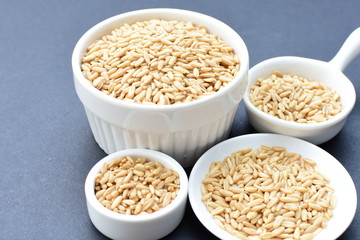 Natural oat grains, in containers for display