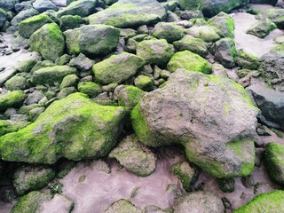 A beautiful landscape of rocks on a beautiful beach