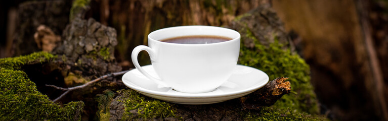 A cup of tea in the natural forest