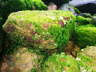 A beautiful landscape of rocks on a beautiful beach