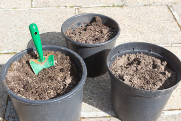 Flowerpots with loam and gardening trowel before planting