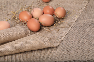 Healthy homemade eggs in hay on linen canvas background. Easter concept.