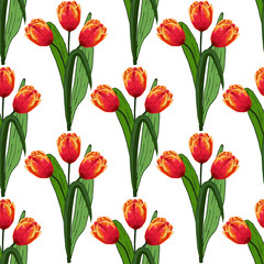 seamless pattern of tulips in red yellow colors isolated on white