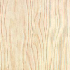 Wood  background or texture