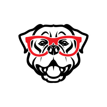 Rottweiler dog wearing red eyeglasses - isolated outlined vector illustration - Vector