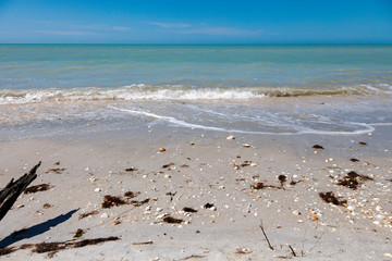 Beach with shells and waves in the background horizon
