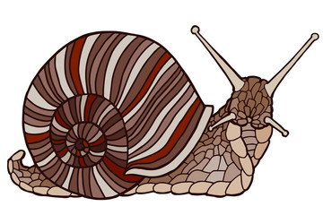 Hand drawing snails. Isolated on white. Cute snail with a striped shell. The original print. Illustration for the children's book.