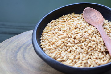 Oat grains accompanied by wheat ears in containers for display