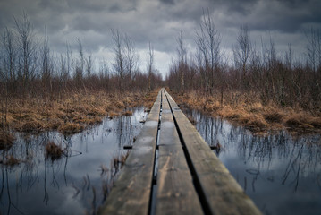 Fototapeta premium Rickety wooden boardwalk over swamp during rain