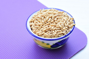 Oat grains accompanied by wheat ears in containers for display