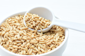Oat grains accompanied by wheat ears in containers for display