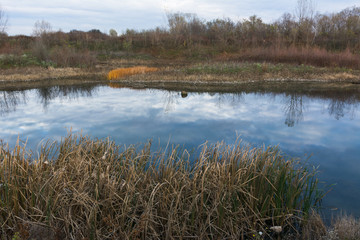 Small lake surrounded by vegetation in autumn colors. Shoot while searching for fishing grounds.
