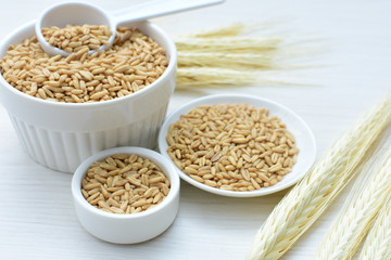 Oat grains accompanied by wheat ears in containers for display