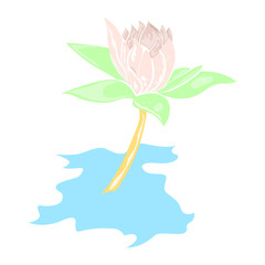 Isolated watercolor flower