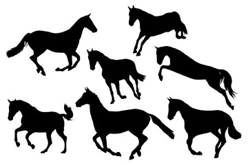 Race horses silhouettes on white background