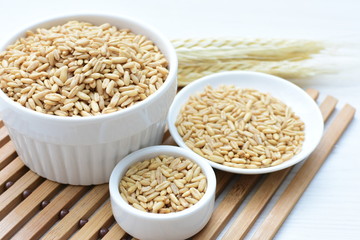 Oat grains accompanied by wheat ears in containers for display