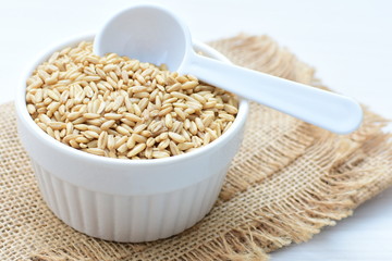 Oat grains accompanied by wheat ears in containers for display