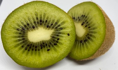 Fototapeta premium kiwi