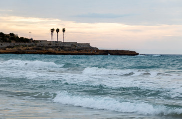 Fototapeta na wymiar Sea landscape with wave, palms, sky and city view