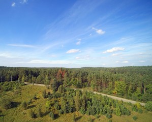 Fototapeta na wymiar Landscape of Polish forest captured from the sky