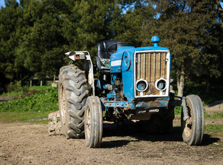 Old blue and white tractor standing on a farm in the sun on a spring afternoon. Surrounded by green vegetation.