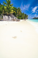 Vacation holiday background of paradise beach. White sand, palm trees and blue ocean lagoon