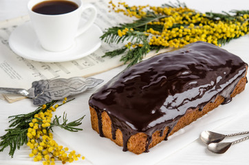 Homemade homemade cake with chocolate icing on a white plate with a mimosa branch nearby.