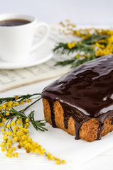 Homemade homemade cake with chocolate icing on a white plate with a mimosa branch nearby.