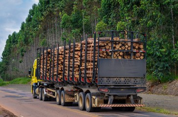 Timber Truck