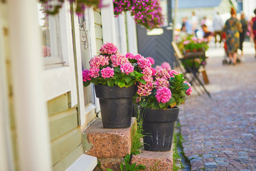 Fototapeta na wymiar Pink hortensias on stone porch of outdoor cafe in Finnish town