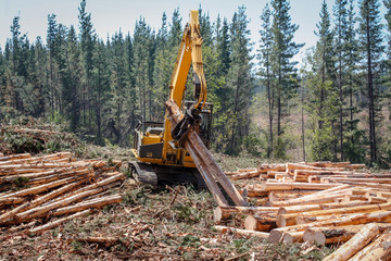 Logging Equipment